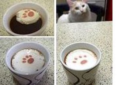 画像1: 三毛猫ボックス 「なごみ」