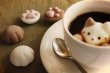 画像2: CafeCat ホワイト (2)