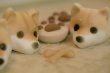 画像3: MARSHMALLOW INU SHIBA (3)